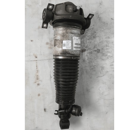 Ammortizzatore post. compl.