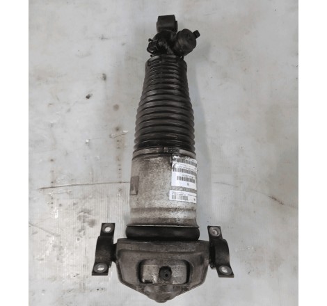 Ammortizzatore post. compl.